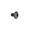 Picture of 67110 Torx Screw 4 x 6mm for no. RC-1130 & no. RC-1028